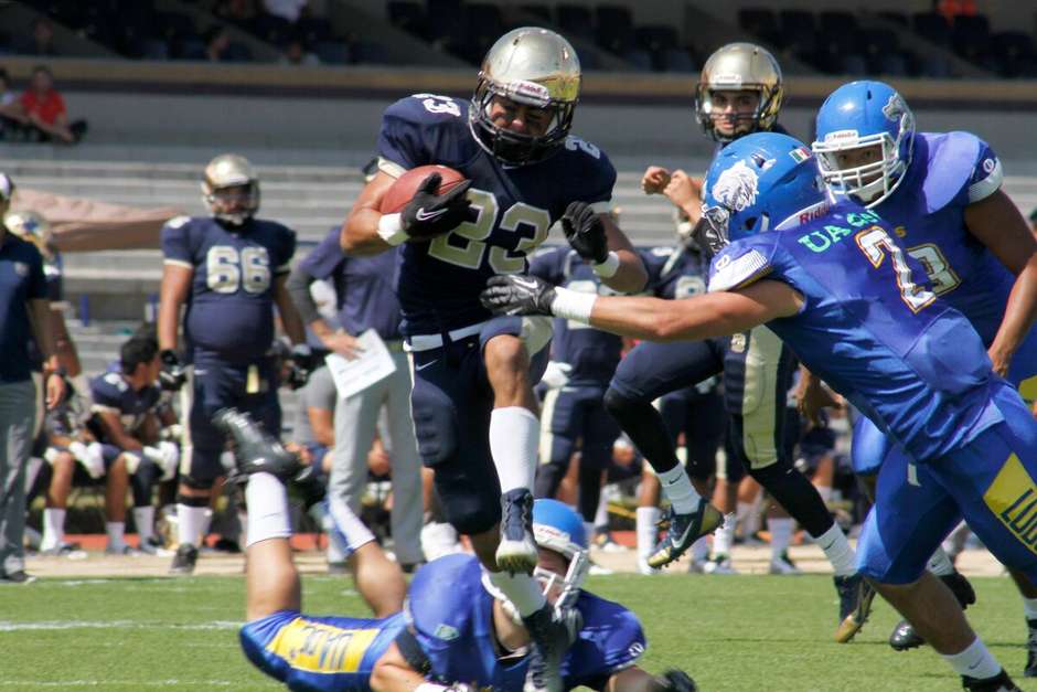 Pumas CU y Auténticos Tigres disputarán final de la ONEFA - allanrosado