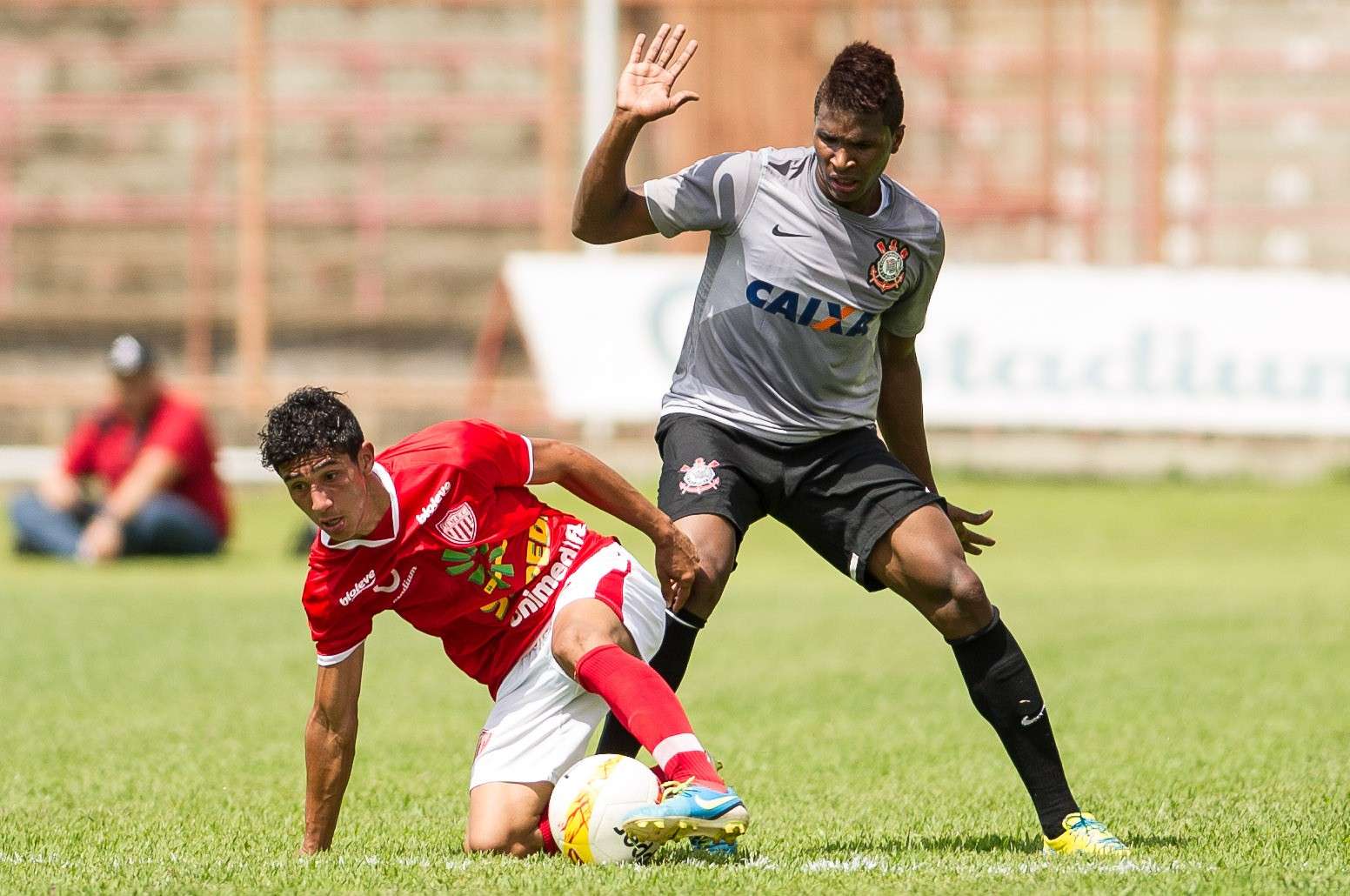 Divulga&ccedil;&atilde;o