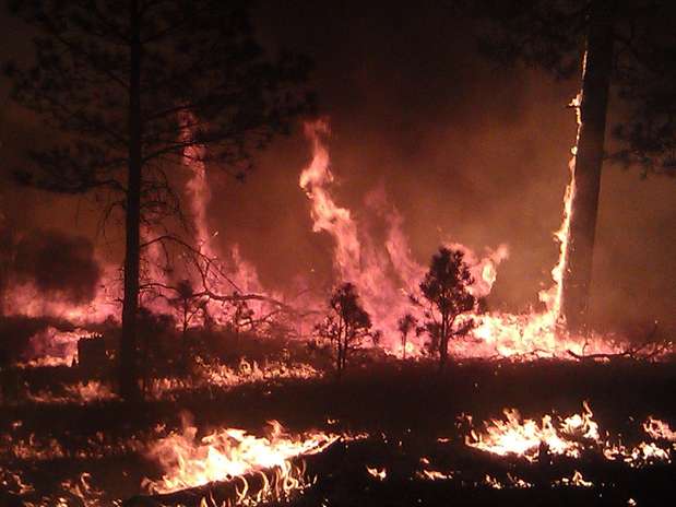 Esta imagen del martes 29 de mayo de 2012 proporcionada por el Servicio Forestal de Estados Unidos muestra un incendio en Bosque Nacional Gila, en Cliff, Nuevo México. El incendio masivo que ha quemado más de 686 kilómetros cuadrados (265 millas cuadradasa) del bosque se ha convertido en el más grande en la historia de Nuevo México, confirmaron el miércoles 30 de mayo funcionarios contra incendios. Foto: Servicio Forestal de Estados Unidos / AP