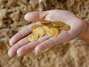 Uno de los tesoros de oro más grande fue descubierto en Israel durante una excavación arqueológica realizada cerca de Herzliya, en Israel. Las monedas fueron encontradas escondidas en una vasija de cerámica rota, en el Parque Nacional de Apolonia, donde los arqueólogos dicen que estaba la antigua ciudad de los cruzados de Apolonia-Arsuf. En la excavación, realizada por la Universidad de Tel Aviv y la Autoridad de Parques de la Naturaleza, se encontraron más de 100 piezas de oro, las que tendrían un valor estimado más de 100.000 dólares. Foto: REUTERS