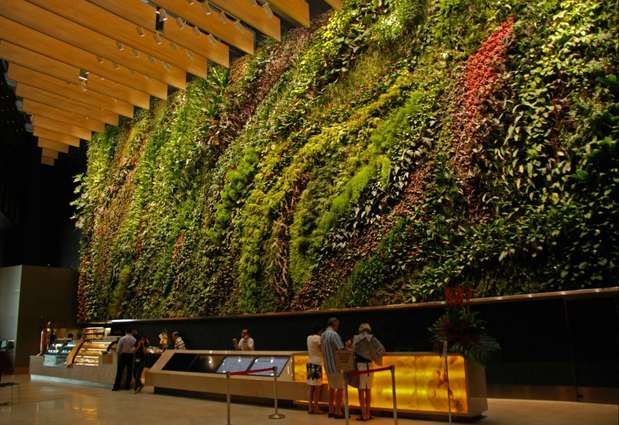 Patrick Blanc es un botánico francés y es el inventor del sistema para crear jardines verticales en forma de muro. Dibuja en las paredes de los edificios con helechos, musgos, hierbas y arbustos. De esta manera, integra la naturaleza a la vida cotidiana. Realizó un jardín vertical en la empresa inmobiliaria CapitaLand, de Singapore.  Foto: www.verticalgardenpatrickblanc.com