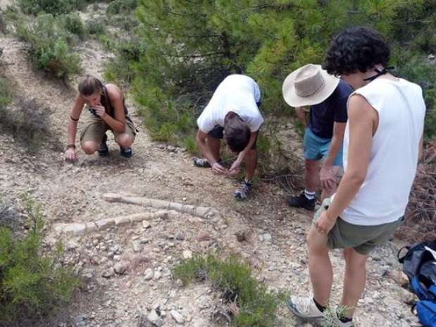 Científicos del Institut Català de Paleontologia analizan unos huesos de hadrosauros Foto: ICP