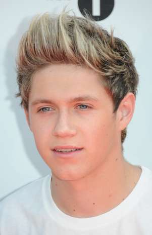 Niall Horan Foto: Getty Images
