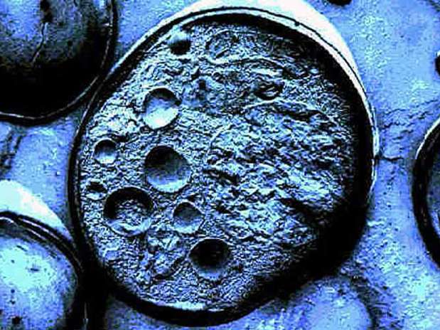 Imagen de archivo de una celula Foto: Terra Imagen de archivo de una celula Foto: Terra