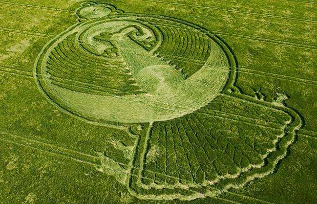 En 2009 apareció una figura de 121 metros en la pequeña villa inglesa de Yatesburyse con la mítica forma del ave fénix que renace de las cenizas. Algunos investigadores creen que se trata de una señal del fin de mundo, según el Calendario Maya.   Foto: telegraph.co.uk