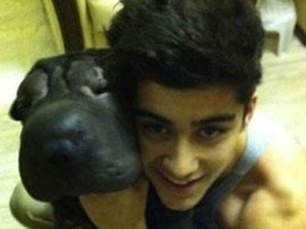 Zayn Malik y su perro crean tendencia en redes sociales. Foto: Twitter Zayn Malik y su perro crean tendencia en redes sociales. Foto: Twitter