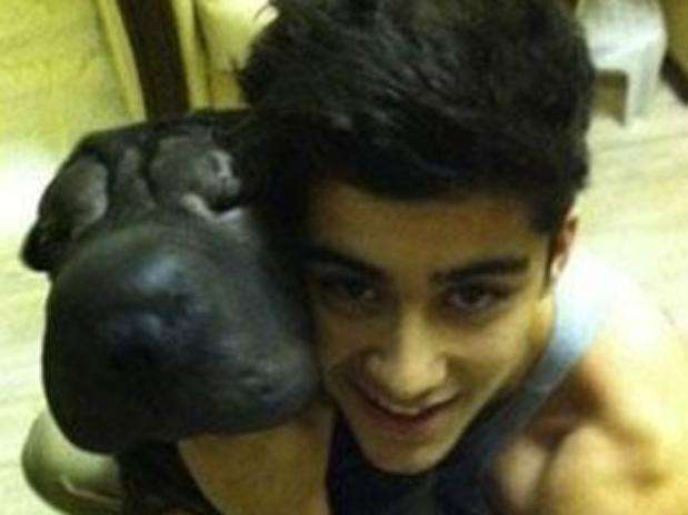 Zayn Malik y su perro. Foto: Twitter Zayn Malik y su perro. Foto: Twitter