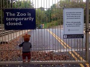 Reprodu&ccedil;&atilde;o