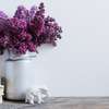 Flores ideais para apartamentos e ambientes internos