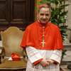 Becciu nega envolvimento na renúncia de ex-auditor de contas do Vaticano