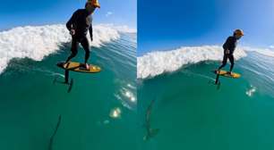 Surfista se assusta ao 'dividir onda' com tubarão-martelo; assista ao vídeo