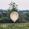 Governo da Coreia do Norte lança mais 600 balões contra Seul; entenda