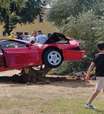 Motorista sobe em árvore e destrói Ferrari; veja