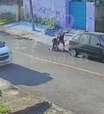 Vídeo: Em discussão com vizinho, homem é agredido com golpes de foice em Campo Largo
