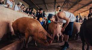 É por esse motivo que nunca vou deixar de ser vegano