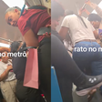 Rato invade vagão feminino no metrô do Rio de Janeiro e causa desespero