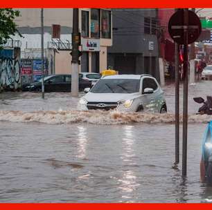 Galerista explica o que poderia evitar enchentes no Beco do Batman