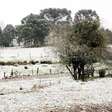 Com frio extremo, cidades do Rio Grande do Sul registram neve