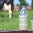 Preço e crise: estamos consumindo sobras da indústria leiteira
