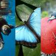 Encante-se com 30 imagens de parques ecológicos do Caribe