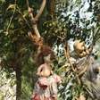 Entorno da Cidade do México tem tradição macabra com bonecas
