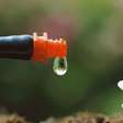 Sistemas de irrigação acessíveis custam a partir de R$ 3 mil