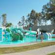 Parque aquático de Aguascalientes tem tobogã de 96 metros