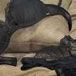 Jornalista deixa carreira para criar e-commerce de lingeries