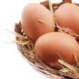 Vitamina D e cálcio evitam atrasos no tratamento ortodôntico