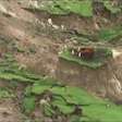 Vacas ilhadas: as imagens da destruição causada por terremoto na Nova Zelândia
