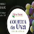 Projeto "Slow Farm - Colheita da Uva"