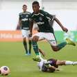 Palmeiras passa pelo Sertãozinho debaixo de muita chuva