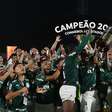Fifa abre cadastro para torcedores do Palmeiras no Mundial