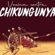 PODCAST: Mandar nudes é crime, vacina contra a Chikungunya e mais!