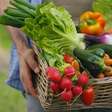 Saiba como economizar na hora de comprar verduras