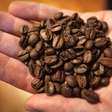 Preços do café e do suco de laranja nos EUA podem subir com tarifas de Trump sobre Brasil
