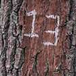 Sexta-feira 13: Numerologia explica se 13 é o número do azar ou não