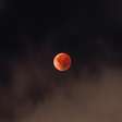 'Lua de sangue': veja imagens do eclipse lunar no Brasil
