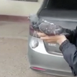 Polícia peruana captura pombo carregando maconha para presídio; veja