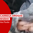 Polícia peruana captura pombo carregando droga para presídio