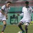 Botafogo arranca empate com América-MG, mas perde chance de liderar Brasileirão