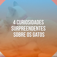 4 curiosidades surpreendentes sobre os gatos