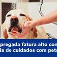 Desempregada fatura alto com franquia de cuidados com pets