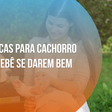 4 dicas para cachorro e bebê se darem bem