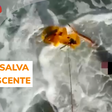 Drone salva adolescente de afogamento em praia na Espanha