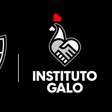 Atlético-MG e Instituto Galo lançam campanha em apoio à família de Bárbara Vitória