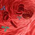Uso de anticorpo monoclonal pode prevenir malária, revela estudo
