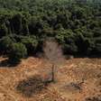 SAIBA MAIS-Causas e consequências de incêndios e desmatamento na Amazônia