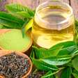 Chá verde: emagrece, controla o açúcar do sangue e mais