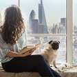 Pets em condomínio: saiba o que é ou não permitido